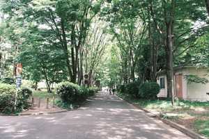 2025-05-15-campus.jpg