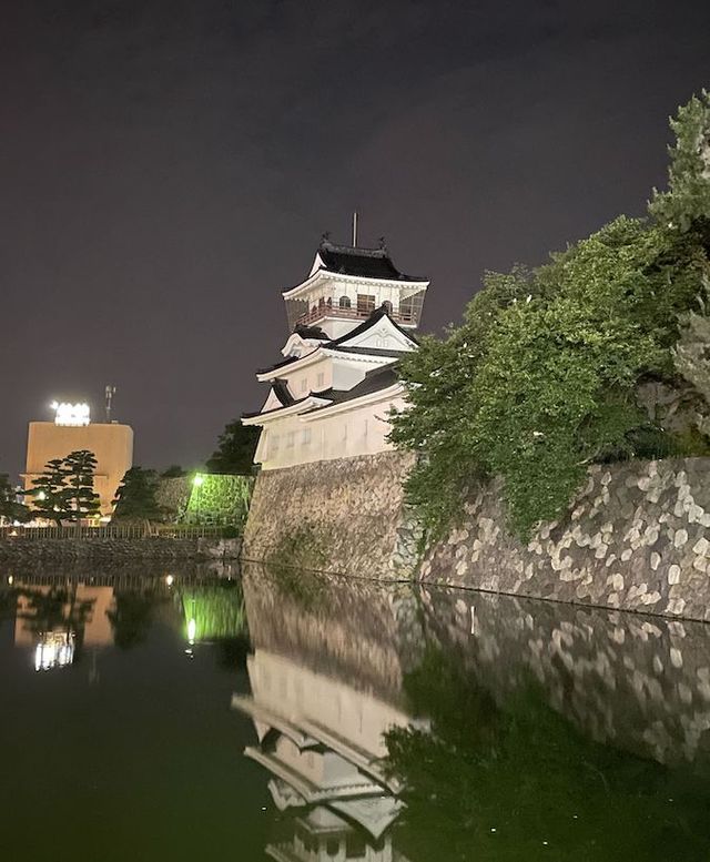 富山城